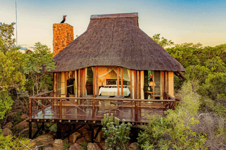 🌿 Luxury in the Wild: A Stay at Nungubane Game Lodge, South Africa